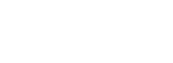 Agile Net
